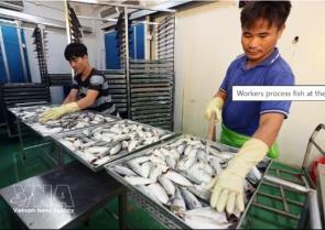 Fishery exports maintain growth momentum despite mounting headwinds
