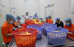 AI drives rise of sleepless enterprises in Việt Nam