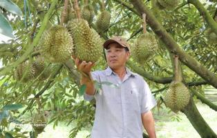 Việt Nams durian exports set sights on new record 