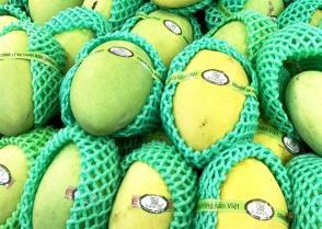 Vietnamese firms urged to build traceability systems beyond QR codes