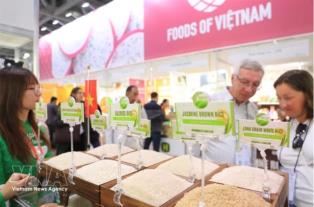 Vietnamese goods step up market expansion in Russia