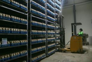 Firm entry and exits point to continued restructuring pressure