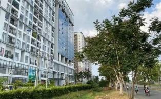 Affordable commercial housing policy proposed to be included in draft law