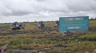 71,000 tonnes of rice get low-emission, green certification
