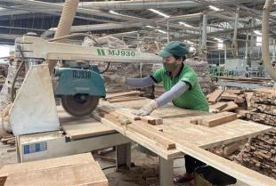 SME law to be amended to boost innovation and competitiveness