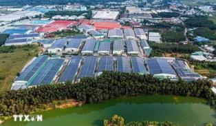HCM Citys industrial investment attraction surpasses 2026 target