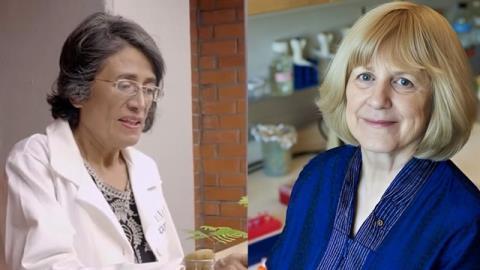 Women who transform science