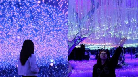 Immersive art destination