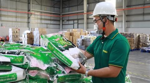 Greener rice, stronger export