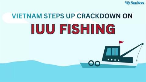 Việt Nam steps up crackdown on IUU fishing