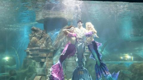 Merpeople 