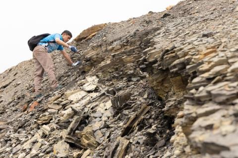 Unearthing a nearly 40-miliion-year-old world