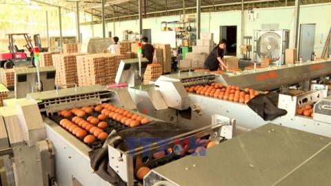30% tax cut to boost small businesses