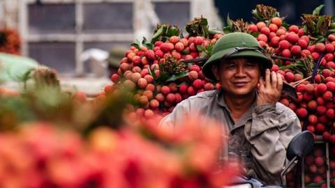Linking regions for greener growth
