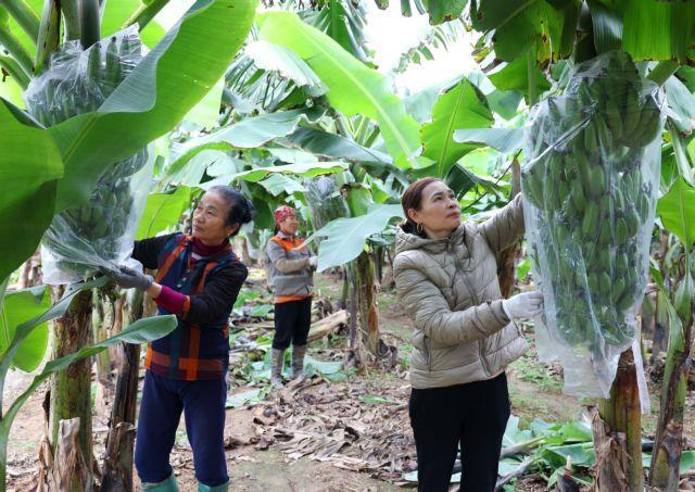 Conference promotes womens economic empowerment through partnership towards green growth