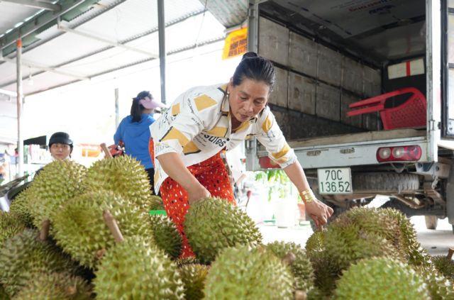 Việt Nam emerges as global durian powerhouse