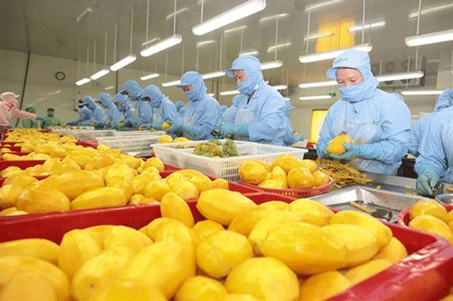 Nearly 4,000 codes of Việt Namsagricultural products approved to export to China