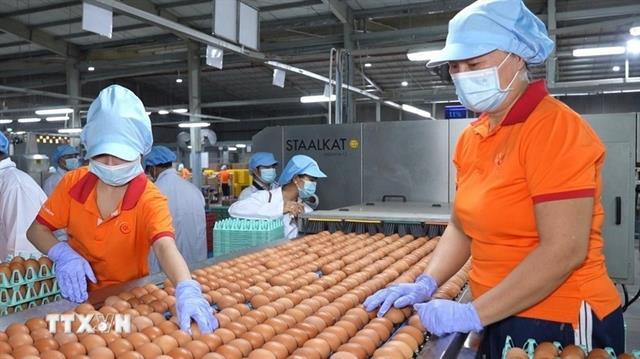 Corporate capital expansion surges 168 per cent in nine months

