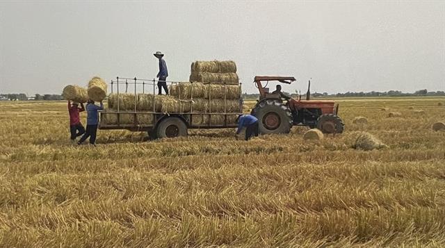 Workshop discusses investment opportunities in rice straw value chain