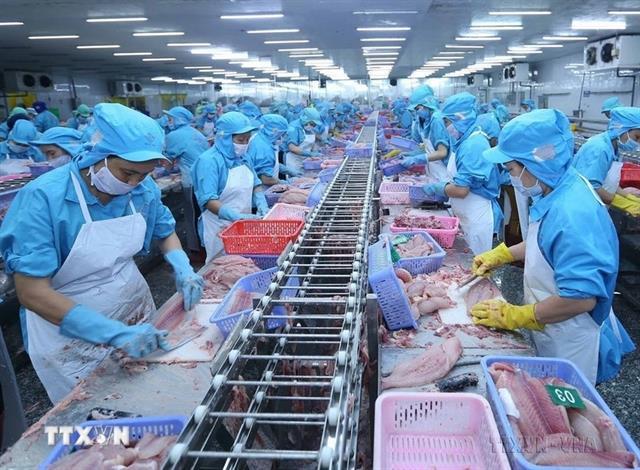 CPTPP drives Việt Nams agro–fisheries exports