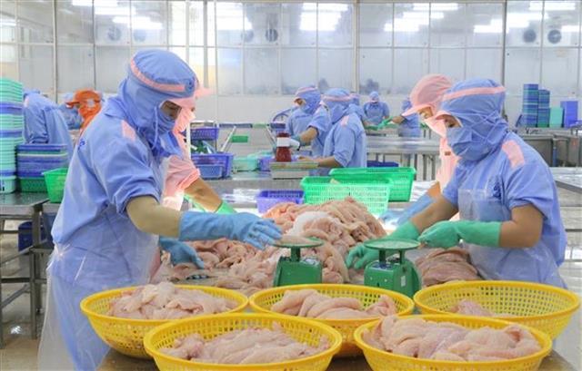 Việt Nams pangasius exports surpass 2 billion