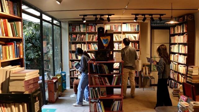 In search of forgotten books