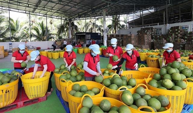 Việt Nams fruit, vegetable exports hit record in 2025