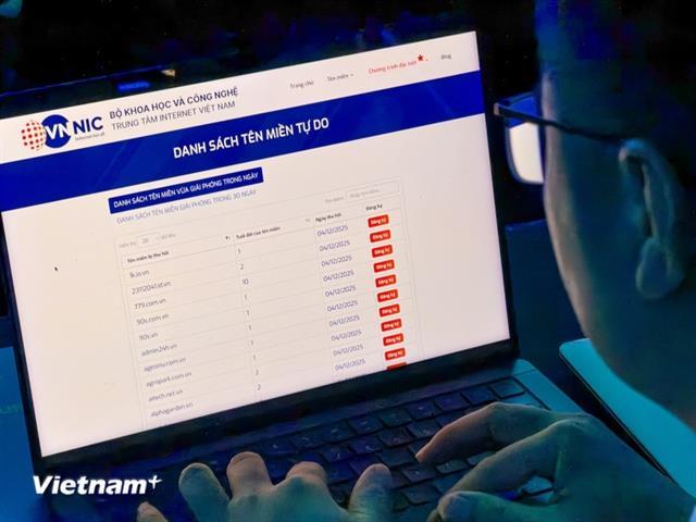 VNNIC publicly releases expired .vn domain list for the first time