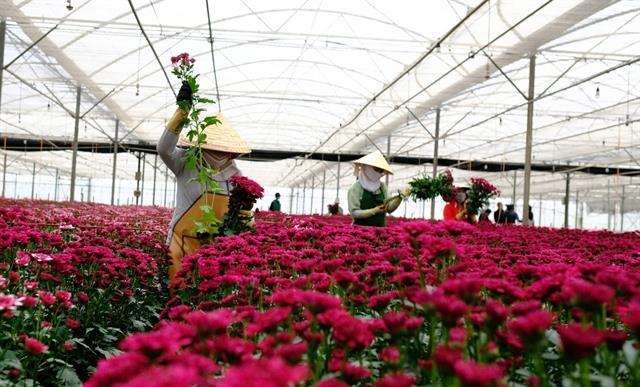 Việt Nam records 20.5 billion trade surplus in 11 months