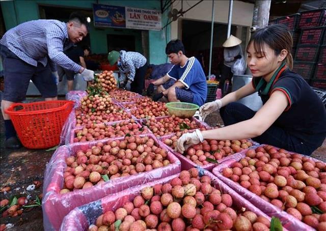 Bắc Ninh has over 770 OCOP products rated 3 stars or higher