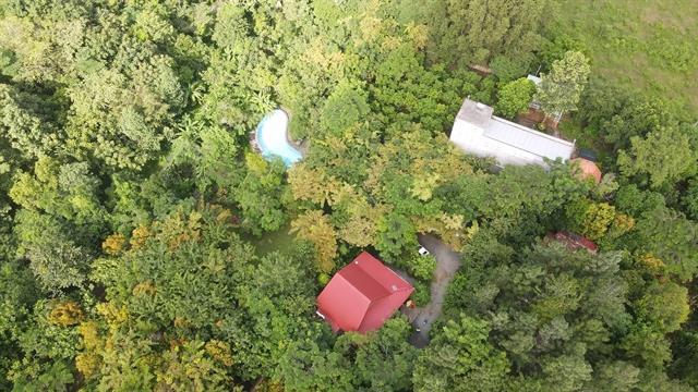 Carbon exchanges operation needs transparent mechanisms