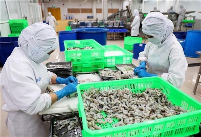 Việt Nams seafood exports surge to 2.45 billion in Q1