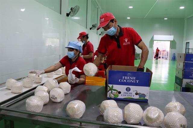 VN needs a strategy to develop coconut industry