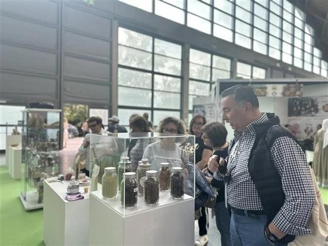 Vietnamese fruits promoted at Italys Macfrut 2025