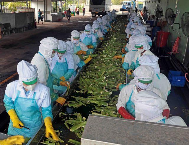 Multiple fees and charges to be slashed to aid development