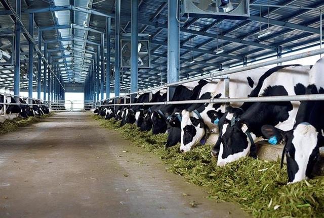 Dairy exporters to China must adjust their production processes