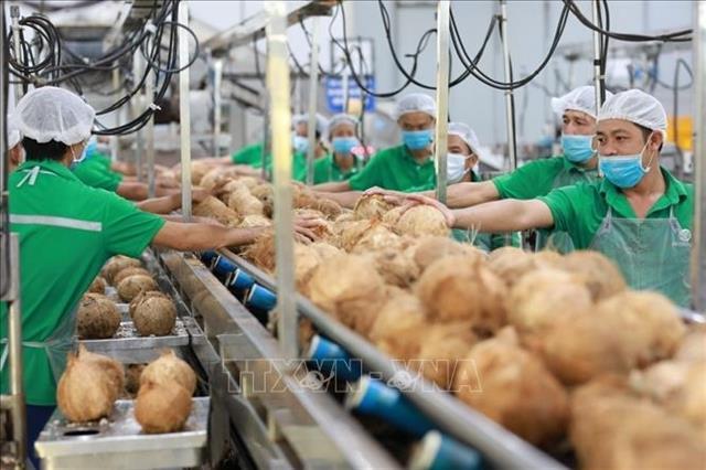 Fruit and vegetable exports reach over 3.8 billion in seven months