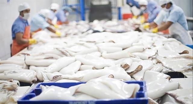Việt Nams squid and octopus exports to Thailand surge, paving the way to a key market