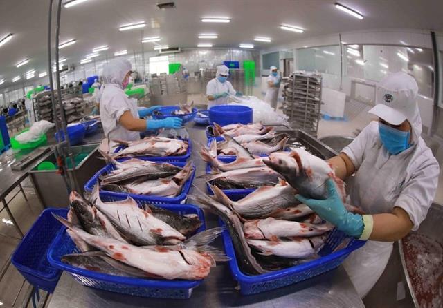 Swimming ahead with Việt Nams pangasius exports 