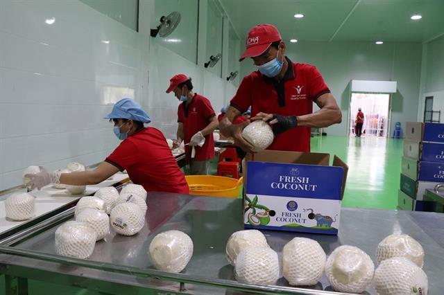 Coconut imports surge 20 fold