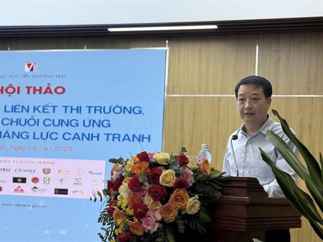 Stable supply chains, market links vital for expanding Vietnamese exports