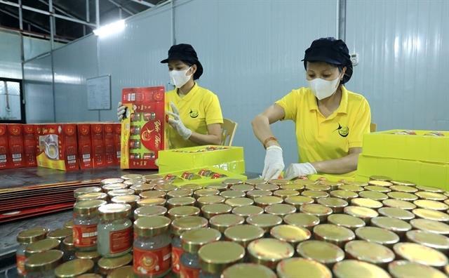 Digital loans open new doors for SMEs