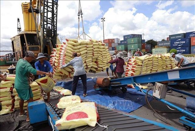 Vietnamese rice remains steadfast amid world market fluctuations