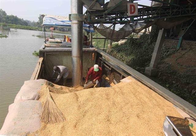 Việt Nam exports over 8 million tonnes of rice, earning 4.1 billion in 2025

