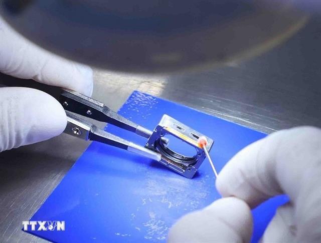 Việt Nam emerges as typical case of Asias FDI success