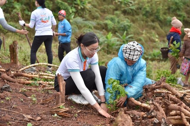 ​​​​​​​ABBANKs annual Tết social welfare programme offers ‘green livelihood support in Nghệ An