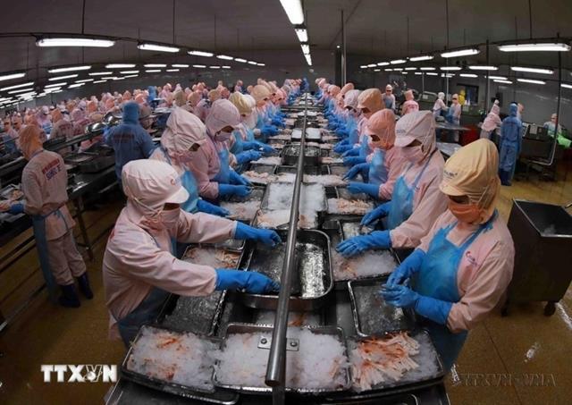 Việt Nam remains Singapores third-largest seafood supplier in 2025
