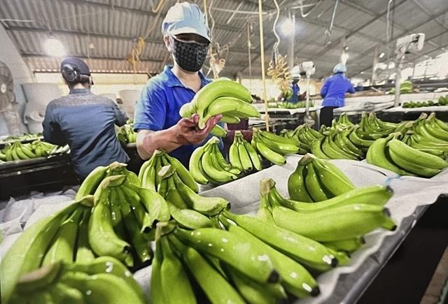 Việt Nam eyes 10 billion fruit and vegetable exports