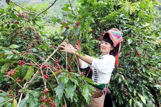 Việt Nam, Timor-Leste explore cooperation in agriculture and fisheries