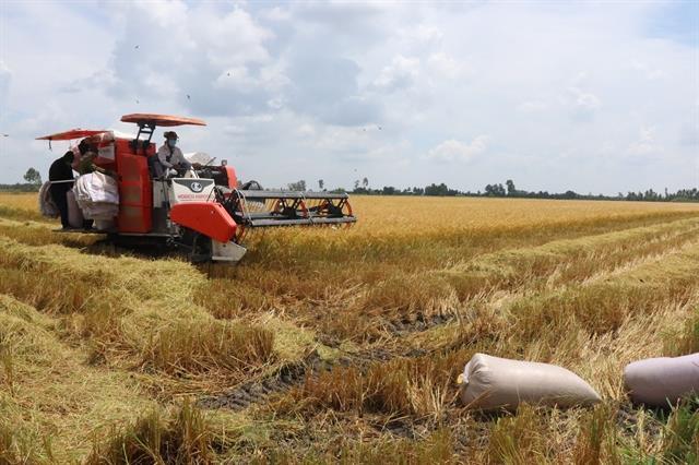 Agro-forestry-fishery exports poised to reach 2026 target